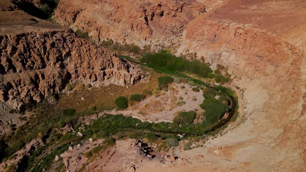 Starlit Workspace – Lofi House Flow