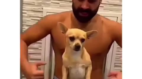 FUNNIEST DOG VIDEOS OF ALL TIME - TRY NOT TO LAUGH P3