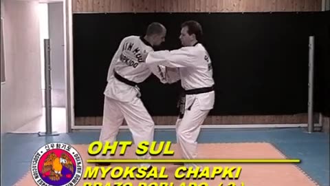 Sin Moo Hapkido