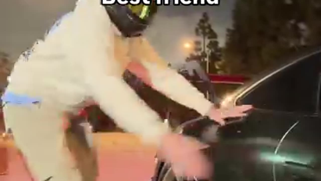 Friends