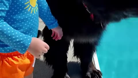 Kids Playing with Dogs and Cats | Cute Baby & Pet Friendship Moments 🐶🐱