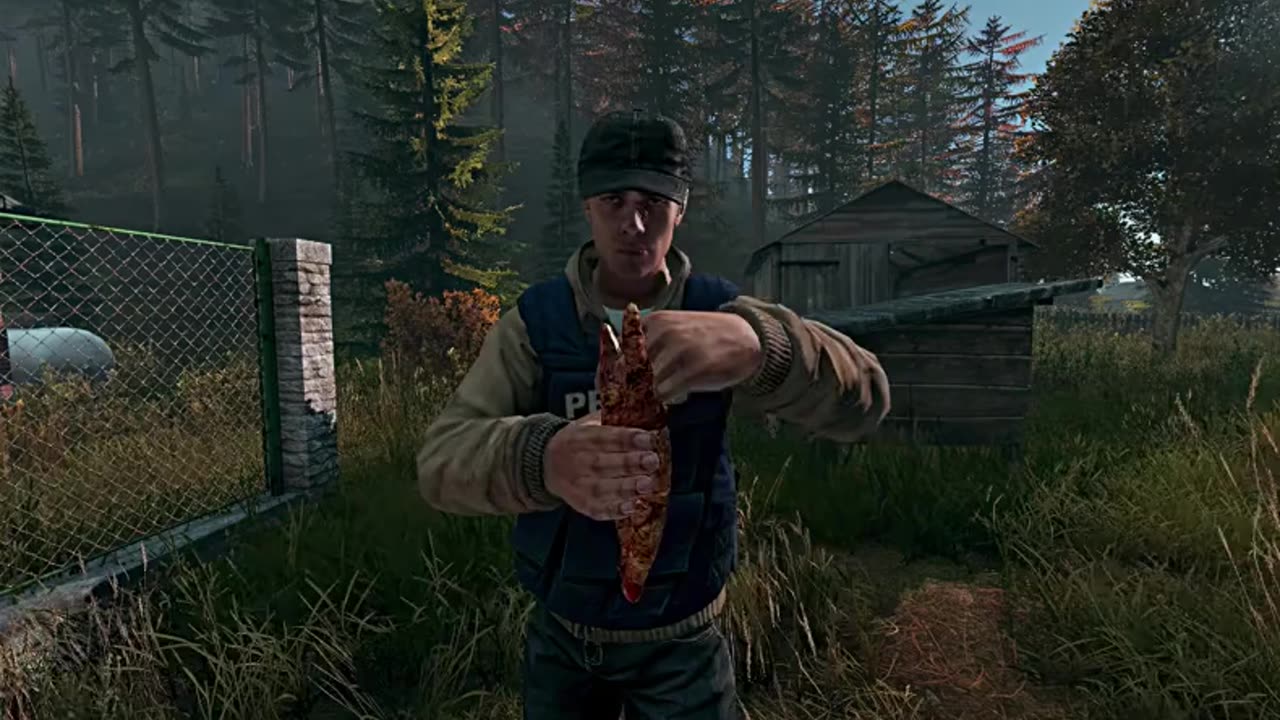 DayZ