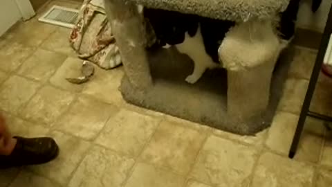 Cat toy is stiff even when no one is holding it, and it slips through the kitty's paws too!!