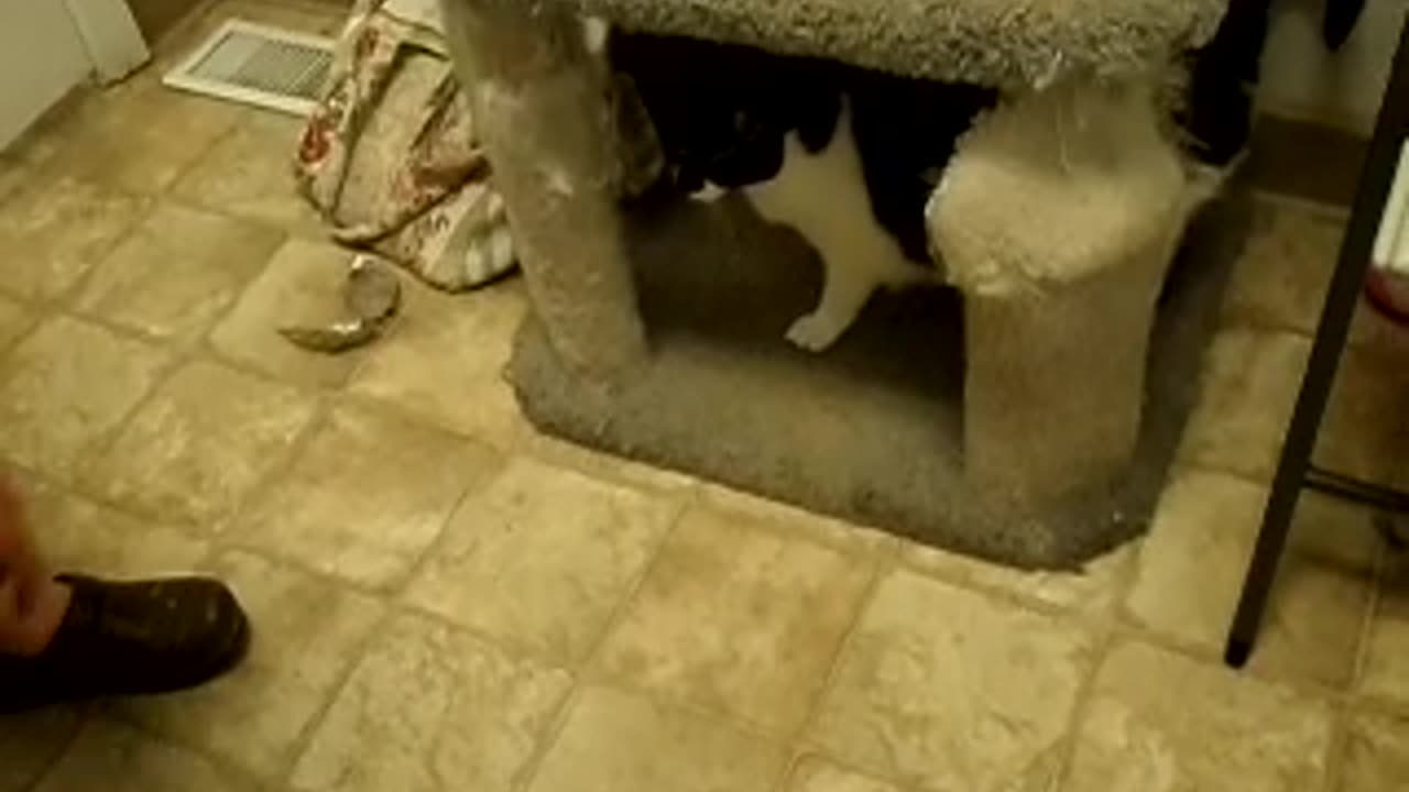 Cat toy is stiff even when no one is holding it, and it slips through the kitty's paws too!!