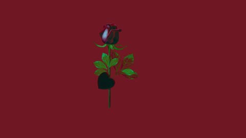 SkinnyFlackoo - Leaving a Mark (Official Audio)