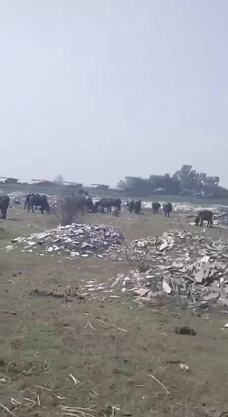 Pakistan Sending Dozens of Heavy Artillery Being Sent into Border Region