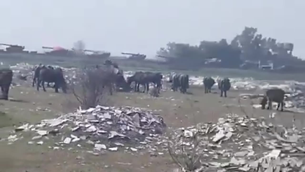 Pakistan Sending Dozens of Heavy Artillery Being Sent into Border Region