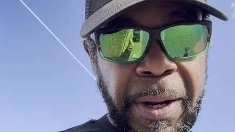 🌿 Vine & Branch Botanicals | The Greatest Show on Earth 🌿 Brought to you by Keith Haring