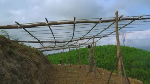 60-Day Homestead Challenge: Reviving Dead Land into a Productive Farm