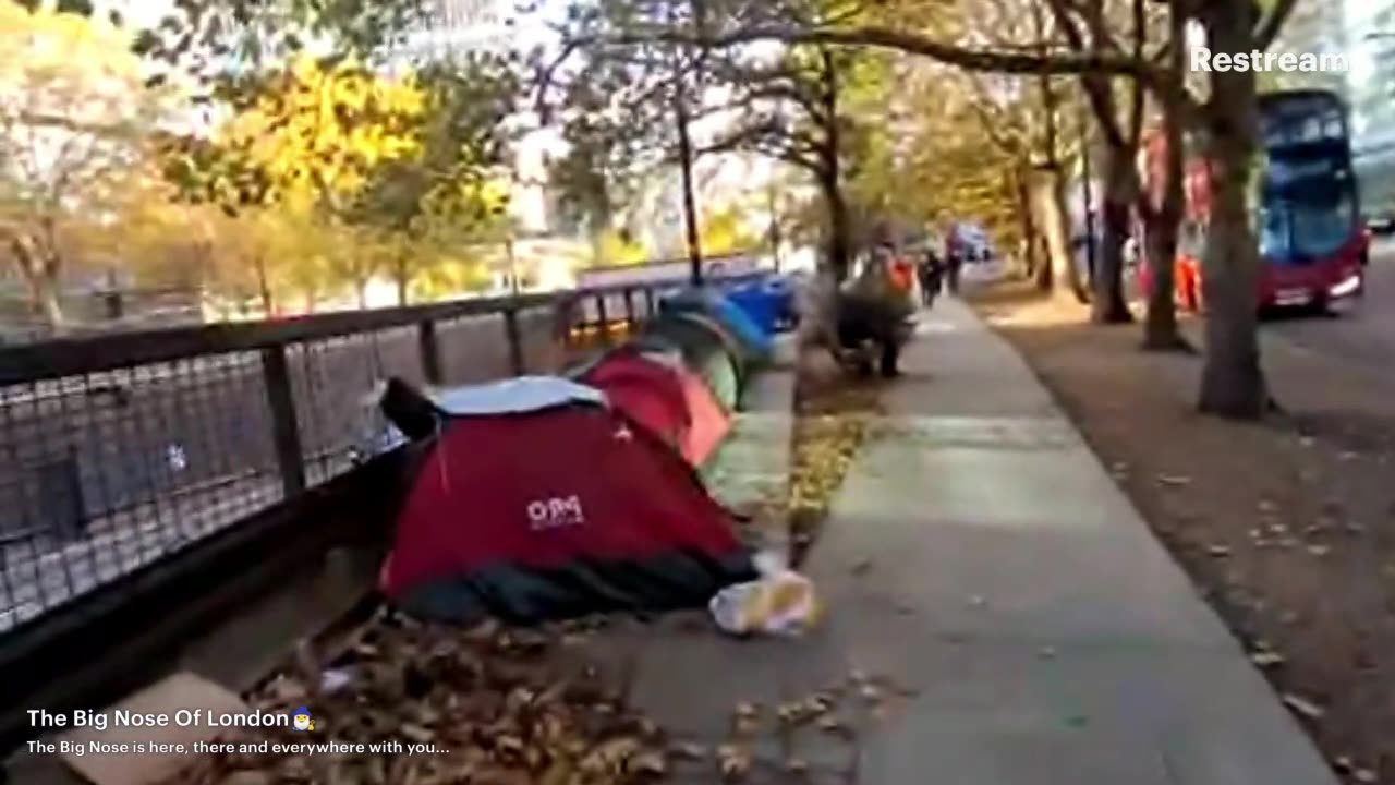 The Big Nose is here, there and everywhere with you!👍😉