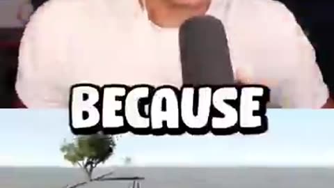 Shocking: EVERY Youtube Plaque Given Out! #viral #shorts