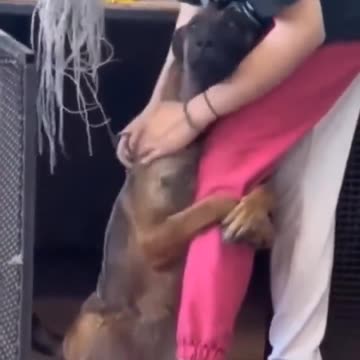 Dog's heartwarming reaction to being rescued. 🐕🐾🥺🙏❤️