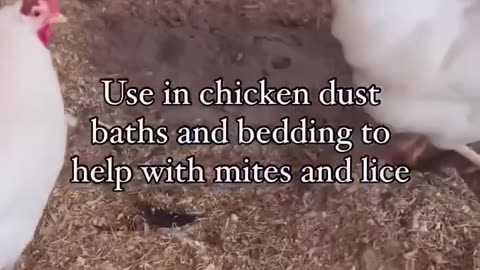Reuse your ash