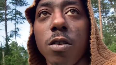 What are Fairies Pt 1