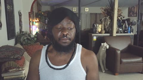 An Update of My Job I like it so Far (Gang-stalking and Bio-Hacking)