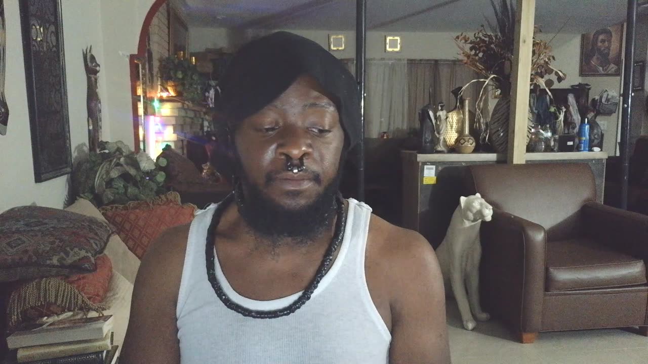 An Update of My Job I like it so Far (Gang-stalking and Bio-Hacking)