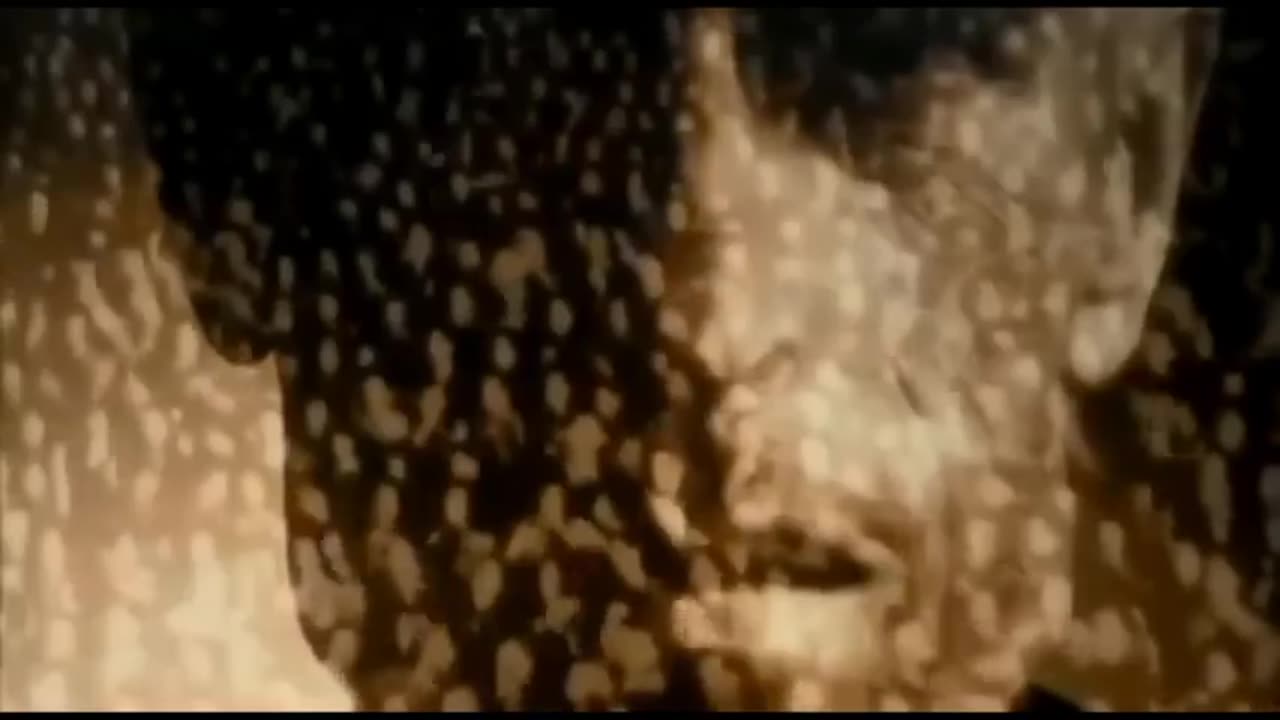 Wake Up, Please Wake Up - Bill Cooper