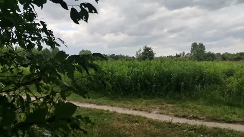 jest , jaka jest ...