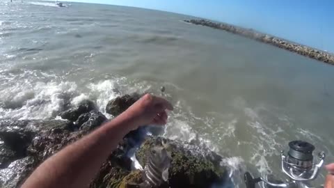 cambio foce o uscita di uno dei canali che sbocca 1 gamberi vivi o shrimp_part16