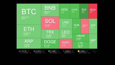 Live Coin Price Watch!