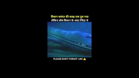 The plane sank to the water of the sea
