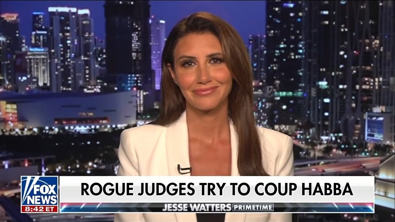 Alina Habba: It Sure Sounds Like Dems Are Trying To Take Me Out