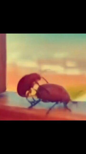 Bugs need love too 😂❤️