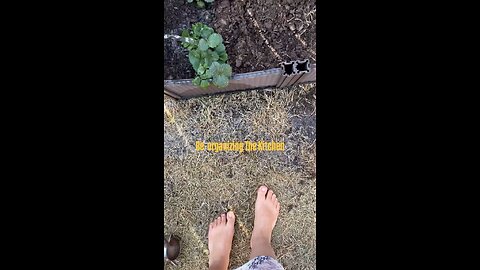 Re-organizing the mud kitchen