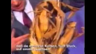 Der "Urzeitcode" - Revolutionäre Entdeckung