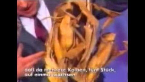 Der "Urzeitcode" - Revolutionäre Entdeckung