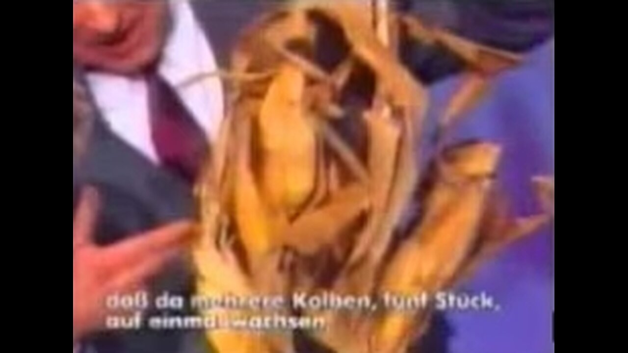 Der "Urzeitcode" - Revolutionäre Entdeckung