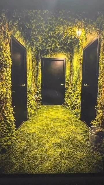 Welcome To The Jungle