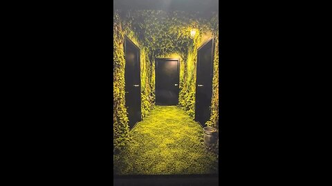 Welcome To The Jungle