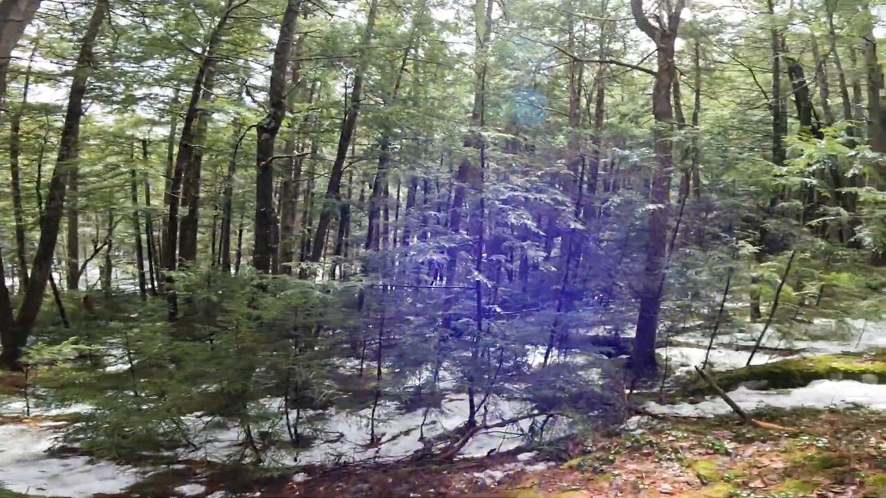 Take a Hike