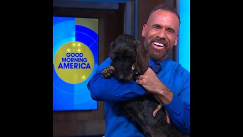 Tips to keep your pets comfortable during allergy season