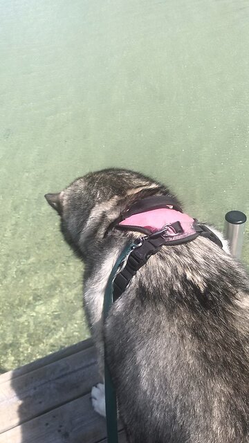 Thursday May 15, In those days I will open the store chambers of blessings