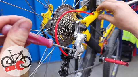 How to Quickly Change Brake Pads and Discs on a Bicycle