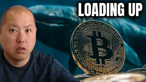 Bitcoin Whales Are Loading Up Right NOW