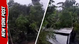 Fierce winds from Hurricane Melissa topple trees, power lines