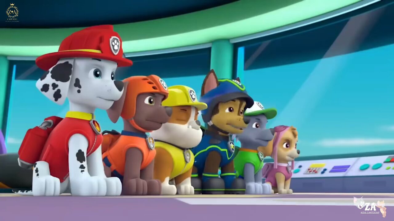 PAW Patrol Cartoons