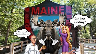 🦌 Maine Wildlife Park Review | Up-Close Moose Encounter in Gray, ME!
