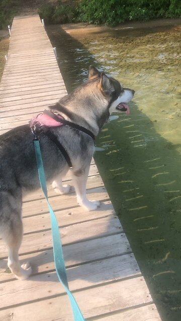 Friday August 1, The silver is mine, the gold is, mine, says the lord almighty