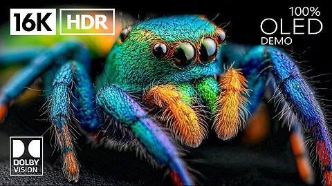 Amazing OLED Demo in Dolby Vision 16K HDR 120FPS (4K/8K Video TV)