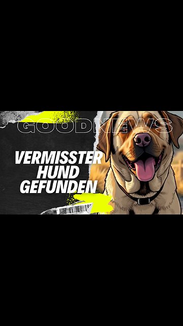 Vermisster Hund Freeway nach 15 Tagen lebend gefunden #Hund #Vermisst #Rettung #VancouverIsland