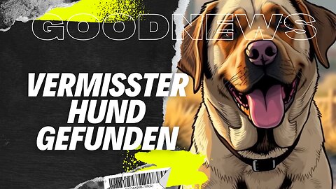 Vermisster Hund Freeway nach 15 Tagen lebend gefunden #Hund #Vermisst #Rettung #VancouverIsland