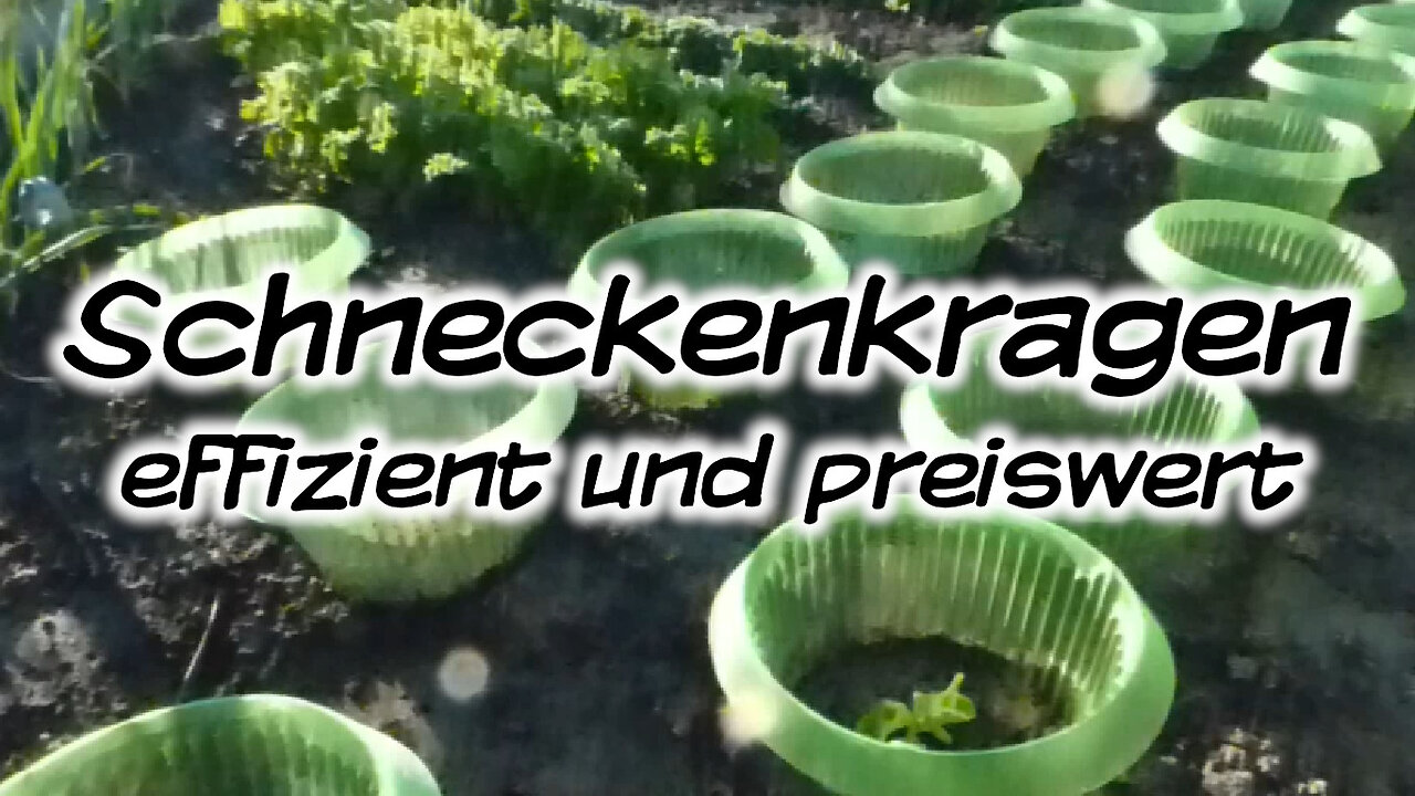 Schneckenkragen, effizient und preiswert - Mach's Dir. Selbst.