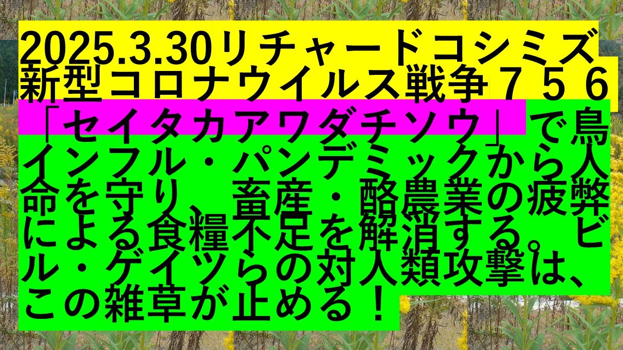 2025.3.30リチャードコシミズ新型コロナウイルス戦争７５６