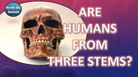 Study in NATURE, Humanity Comes From Three Loose Stem Populations 100K Ago
