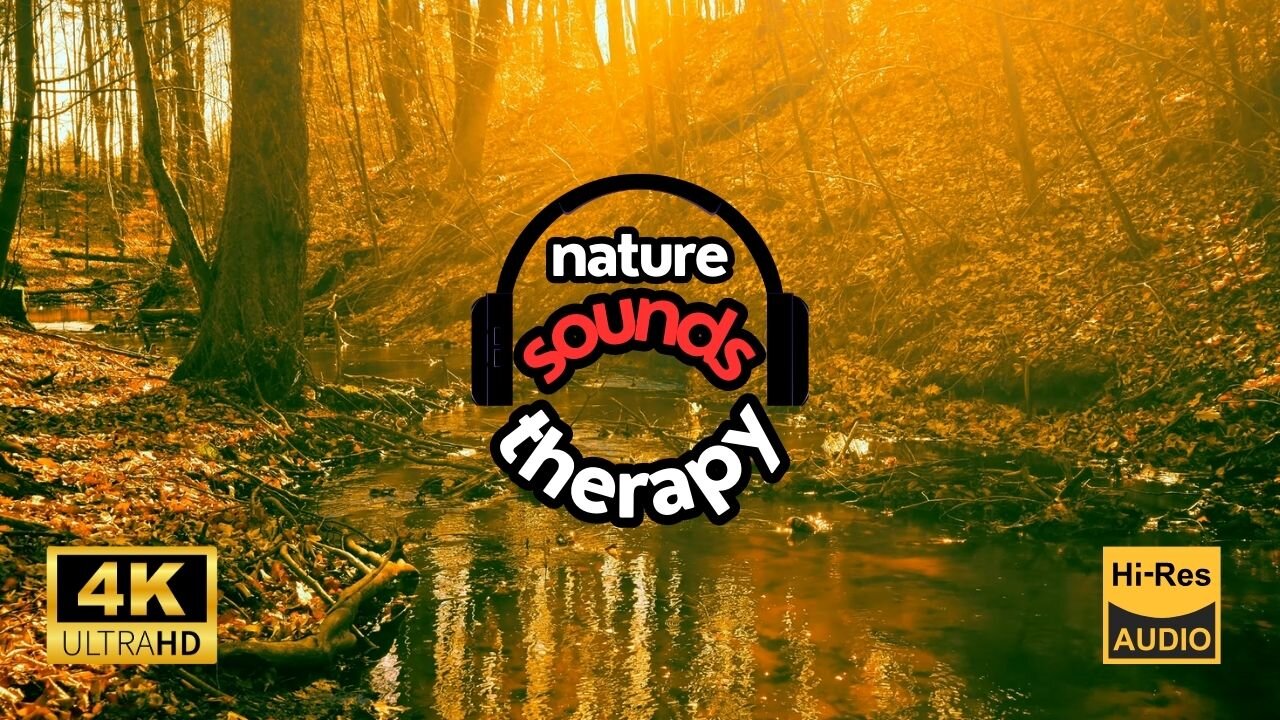 Forest Secret; A Hidden Stream That Will Enchant You 4K (Water Sounds & Birdsong)