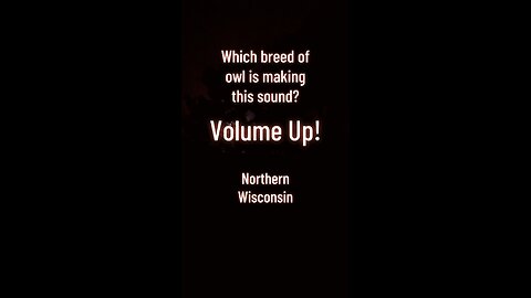 What type of owl is making this sound?
